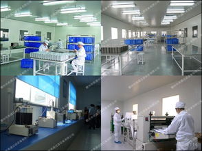 數字時代廣告業務的演進與未來展望